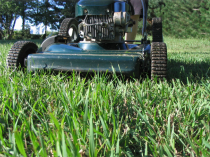 Photo of lawn mower mowing